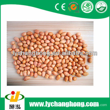 2013 best quality baisha peanut kernel with lowest price